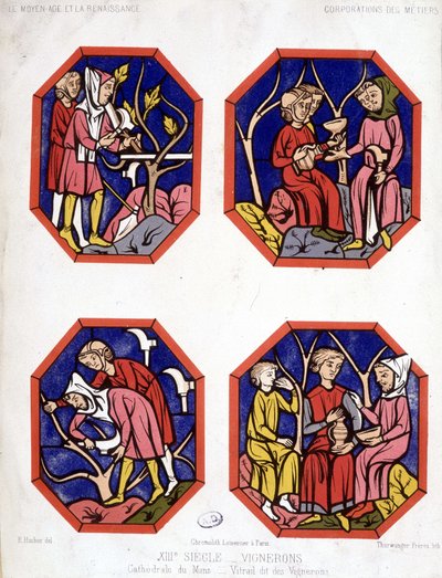 Corporation des vignerons - målat glas av vinmakarna i Cathedrale du Mans av School French
