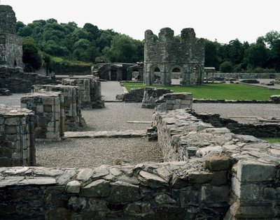 Mellifont Abbey ligger nära Drogheda av School Irish