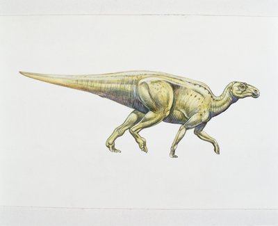 Hadrosaurid eller dinosaurie med anknäbb (färg litho) av School Italian
