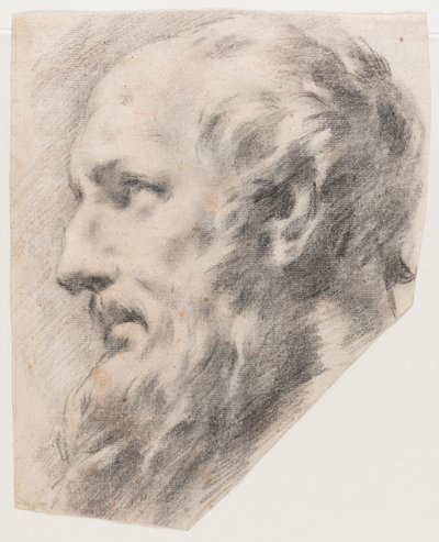 Profilhuvud (kol på papper) av School Italian