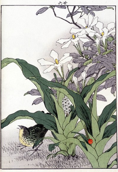Fågel i blommorna - japanskt tryck av Japanese School