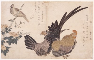 Tupp, Höna Och Fågel av School Japanese