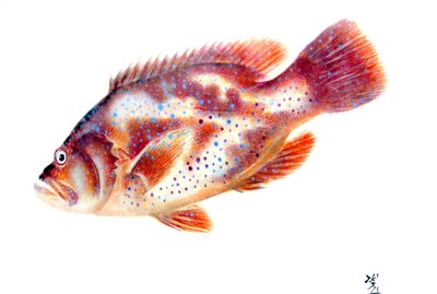 Gyotaku av Japanese School