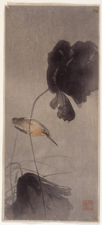 Kungsfiskare av School Japanese