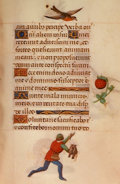 F.235 Man with Hawks, från "Hours of Joanna of Castile" av School Netherlandish