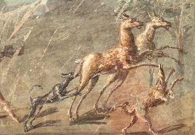 Älskar när du jagar, Herculaneum av School Roman
