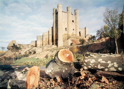 Castillo de Coyanza, byggt på 1300-1500-talet av grevarna av Valencia (foto) av School Spanish