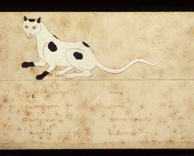 Blad ur ett manuskript om siamesiska katter, tidigt 1900-tal (akvarell på papper) av School Thai