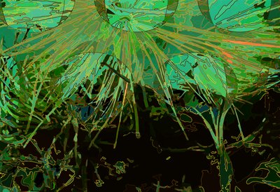 Kronärtskocka_abst_horz2 (digital) av Scott J. Davis