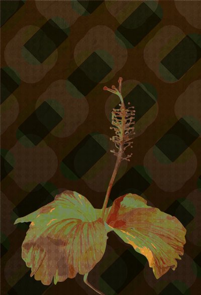 Hibiscus,2 2019 av Scott J. Davis