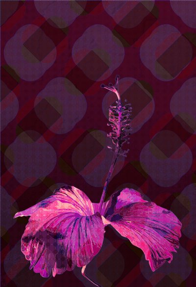 Hibiscus3, 2019 av Scott J. Davis