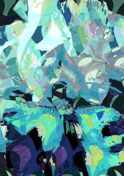 Iris (digital) av Scott J. Davis