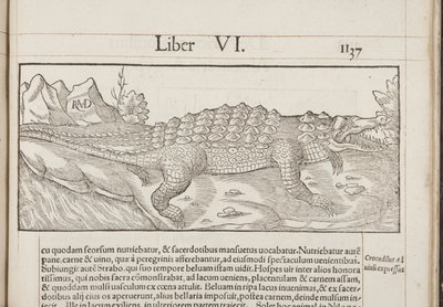 Cosmographia, Fol 1137, 1544 av Sebastian Munster