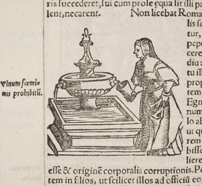 Cosmographia, detalj av Fol 202 av Sebastian Munster