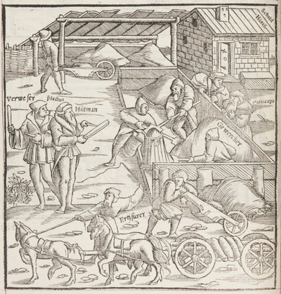 Cosmographia, detalj av Fol 436 (gravyr) av Sebastian Munster