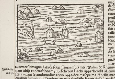 Cosmographia, detalj av Fol 516 av Sebastian Munster