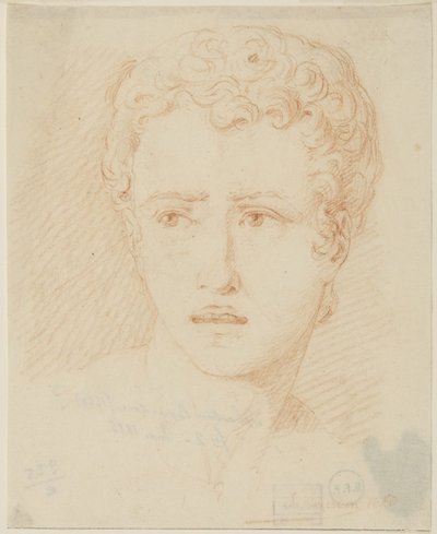 Den unge mannen av Sébastien Bourdon