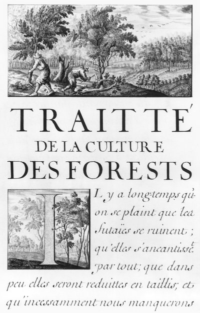 Ms 260 tome IV Frontispekt till "Traite de la culture des Forets" från "Oisivetes de M. Vauban contenant plusieurs Memoires ou Ramas de sa facon". av Sebastien Le Prestre de Vauban