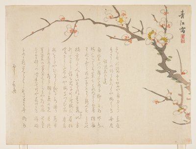 Blommande plommon, januari 1837 (träblock i färg) av Seik Hashimoto