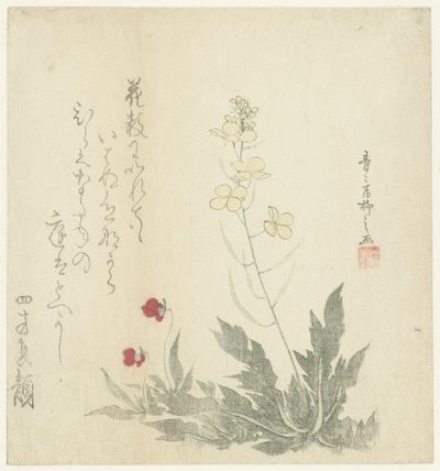 Blommande växter av Seiseikyo Ryûshi