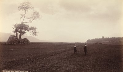 Söder om Ames, North Elba,ca. 1888 (foto) av Seneca Ray Stoddard