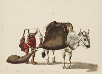 Vattenbärare, c1810 av Sewak Ram