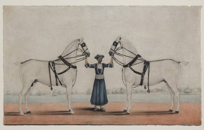 A Syce (Groom) Holding Two Carriage Horses, ca 1845 (ogenomskinlig akvarell på papper) av Shaik Muhammad Amir of Karraya (attr. to)