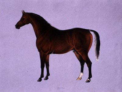 Oppidan, ca 1840 (akvarell på papper) av Shaik Muhammad Amir of Karraya