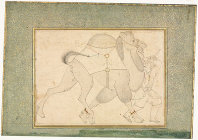 Kamel och brudgum, illustration på en sida, ca. 1545-1576. av Shaykh Muhammad