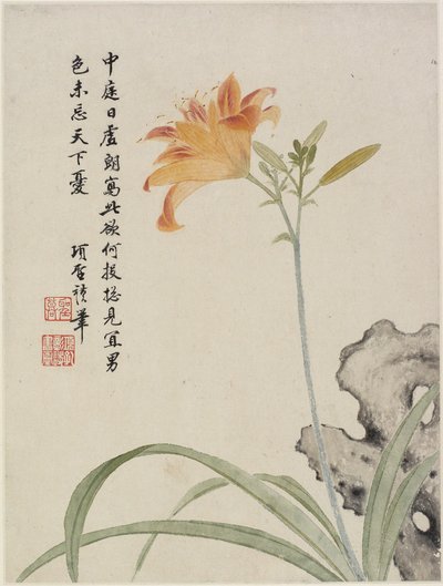 Daglilja från ett blomsteralbum med tio blad, 1656 (bläck och färg på papper) av Shengmo Xiang