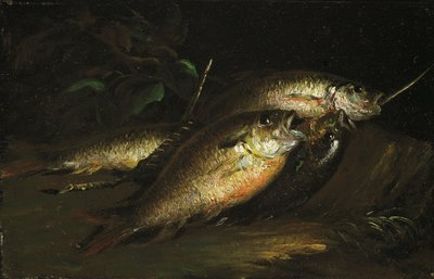 Fisk av Shepard Alonzo Mount