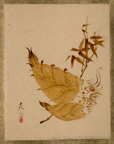 Bambuskott, ca. 1880-talet. av Shibata Zeshin