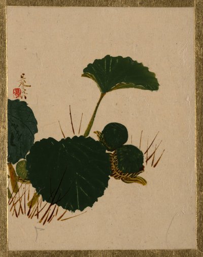 Mask på grönbladig växt. av Shibata Zeshin