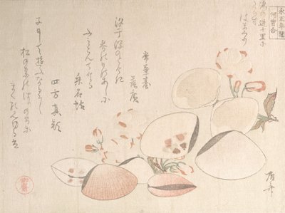 Körsbärsblommor och skal, 1800-talet., 1800-talet. av Shinsai