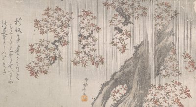 Cherry Blossoms in the Rain, 1800-talet., 1800-talet. av Shinsai