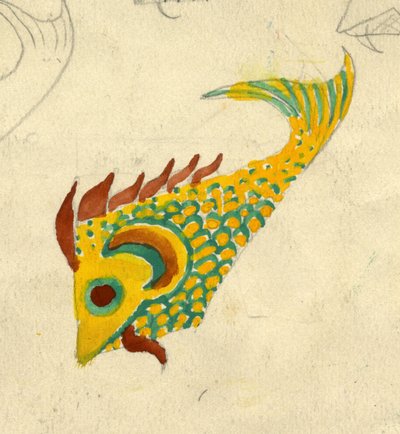 Fiskillustration, c1950. av Shirley Markham