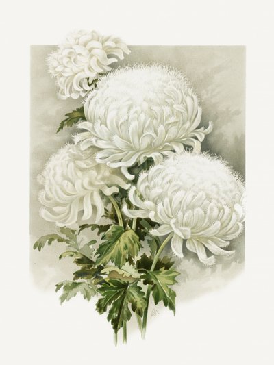 Fru Alpheus Hardy av Sidney Thomas Callowhill