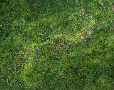Fågelperspektiv av Silvian Sternhagel