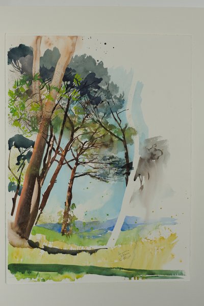 Pines at St. Blaise, 2004 (akvarell på papper) av Simon Fletcher
