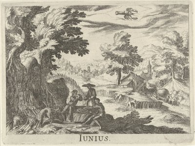 juni Junius (titel på objekt) Tolv månader (serietitel) av Simon Frisius