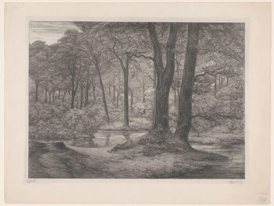 Skog med damm och liggande man Teutoburgerskogen (skogsvy) (originaltitel) av Simon Moulijn (signed by artist)
