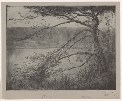 Ven i Oisterwijk av Simon Moulijn (signed by artist)