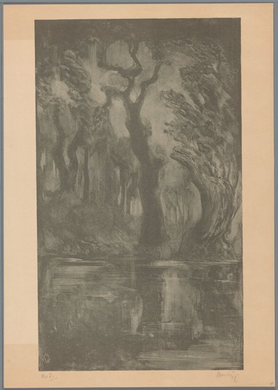 Vatten i skogen Dream Forest (originaltitel) av Simon Moulijn (signed by artist)