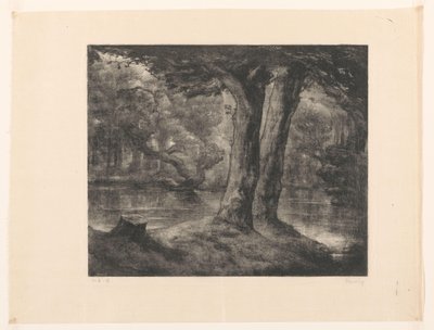 Vatten i en skog Forest View (originaltitel) av Simon Moulijn (signed by artist)
