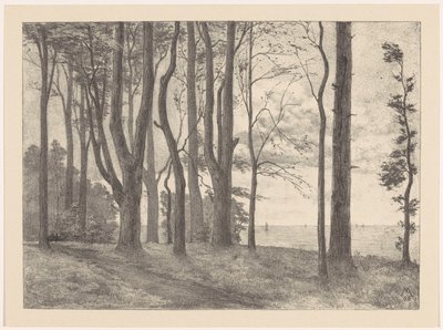 Träd vid vattnet med segelbåtar Valkeveen (originaltitel) av Simon Moulijn