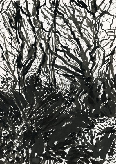 Ham Common Woods (bläck och grafit på papper) av Simon Neville