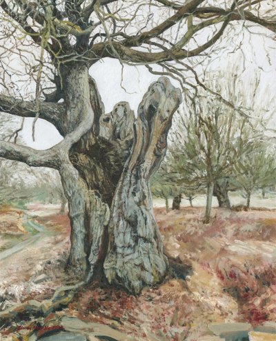 Gammalt träd, Richmond Park, 2018 (olja på linne) av Simon Neville