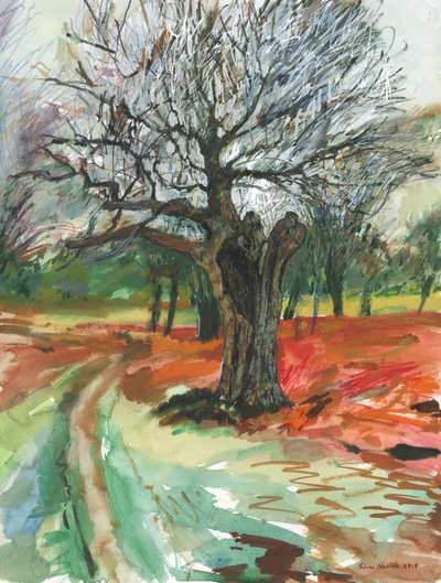 Old tree, Richmond Park, 2019 (akvarellpenna och akrylfärgsmarkör på papper) av Simon Neville