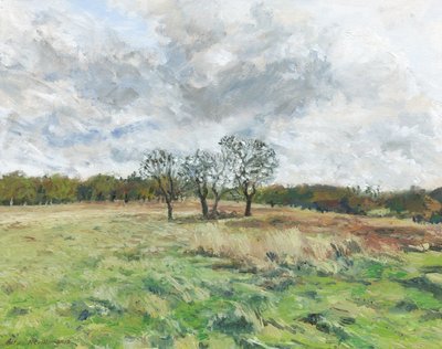 Richmond Park (olja på duk) av Simon Neville