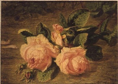 Rosa rosor av Simon Saint-Jean